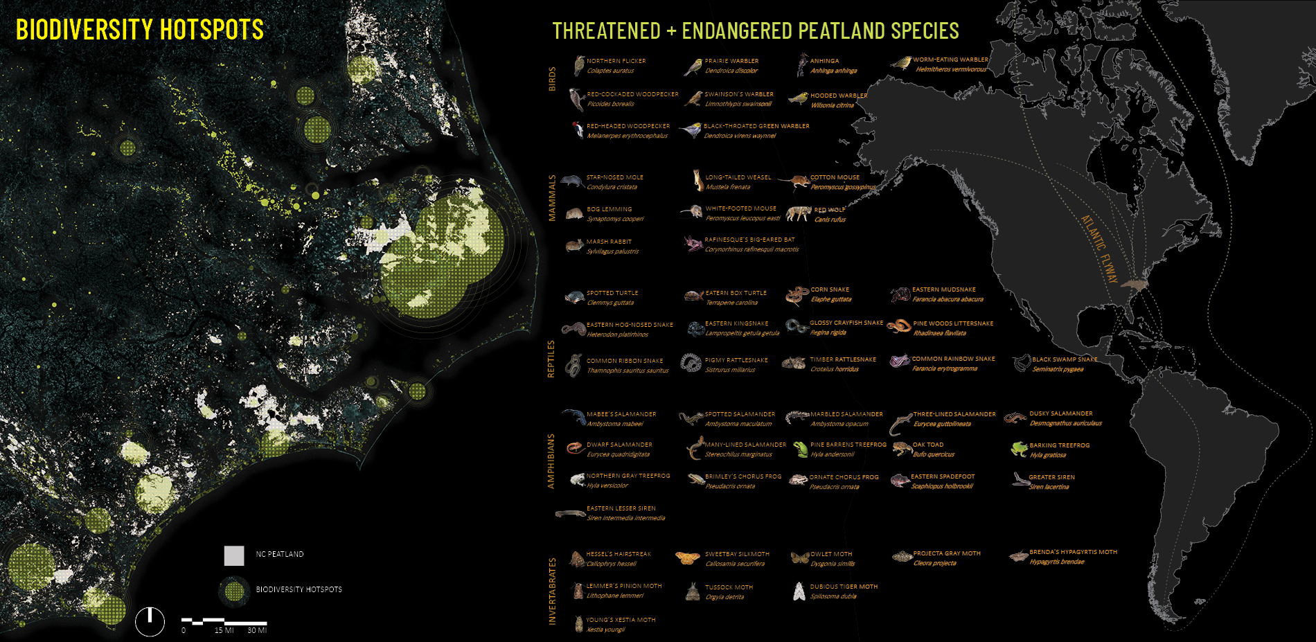 Peatlands as Biodiversity Hotspots